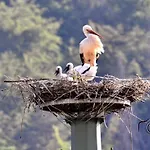 Apartman Storchennest Eisfeld