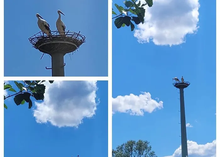 Storchennest Apartman Eisfeld